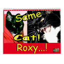 Search for roxy Cat