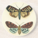 Search for insect barware Collection