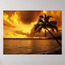 Search for kauai posters Scenic