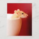 Search for background vertical postcards Photography