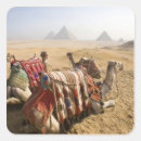 Search for cairo egypt stickers Culture