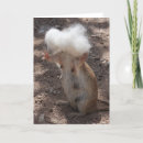Search for silly mothers day cards Animal