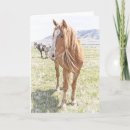 Search for mustangs cards Wildlife