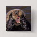 Search for mammal square badges Marine life