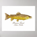 Search for brown trout art Fly