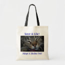 Search for save life Cat