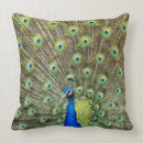 Search for peacock green cushions Trendy