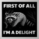 Search for racoons posters Funny racoon