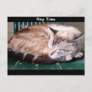 Search for nap time postcards Cat