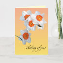 Search for daffodil cards White
