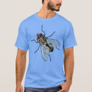 Search for flying bugs Birthday
