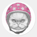 Search for persian cats stickers Kitty