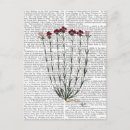 Search for four vertical postcards Flowers
