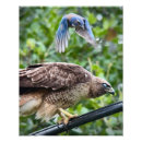 Search for scrubbing art Jay
