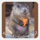 Search for woodchucks stickers Cute