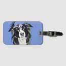 Search for border collie gifts Sheepdog