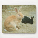 Search for baby easter electronics Cute