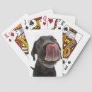 Search for cute labrador retriever Animal