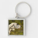 Search for spotted square key rings Outdoors