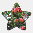 Search for apple tree stickers Green