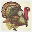 Search for wild turkey stickers Thanksgiving