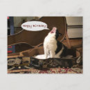 Search for cat singing birthday cards Guitar