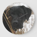 Search for black lab clocks Black labrador retriever