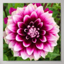 Search for patches posters Flower