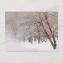 Search for danita delimont postcards Snow