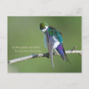 Search for violets postcards Green
