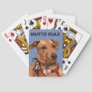 Search for mutts Mixed breed