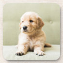 Search for couch coasters Cute