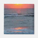 Search for featuring magnets Seashore