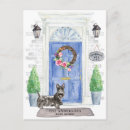 Search for scottish terrier Dog