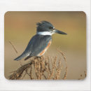 Search for kingfisher mouse mats Wildlife