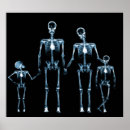 Search for metallic skull posters Heavy metal