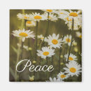 Search for mantra magnets Peace