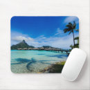 Search for resort electronics Palm trees