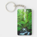 Search for old growth forest key rings Superstock