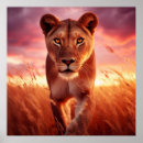 Search for lioness posters Wildlife photography