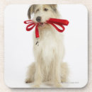 Search for small dog coasters Friendship