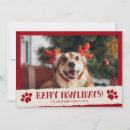 Search for paw print cards Happy howlidays