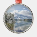 Search for banff christmas tree decorations Landscape