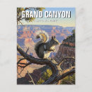 Search for squirrel postcards Travel