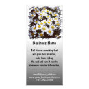 Search for daisy rack cards Daisies