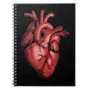Search for heart anatomy notebooks Doctor