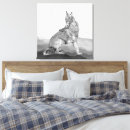 Search for coyote art Animal