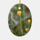 Search for buttercup gifts Photography