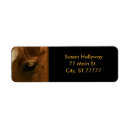Search for hose cards invites Western