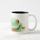 Search for red eyed tree frog mugs Shells